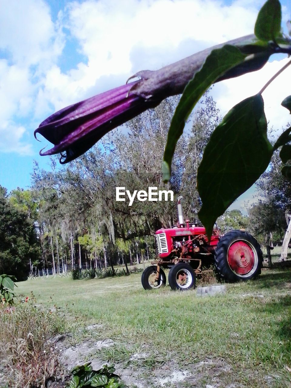 VEHICLE PARKED ON FIELD