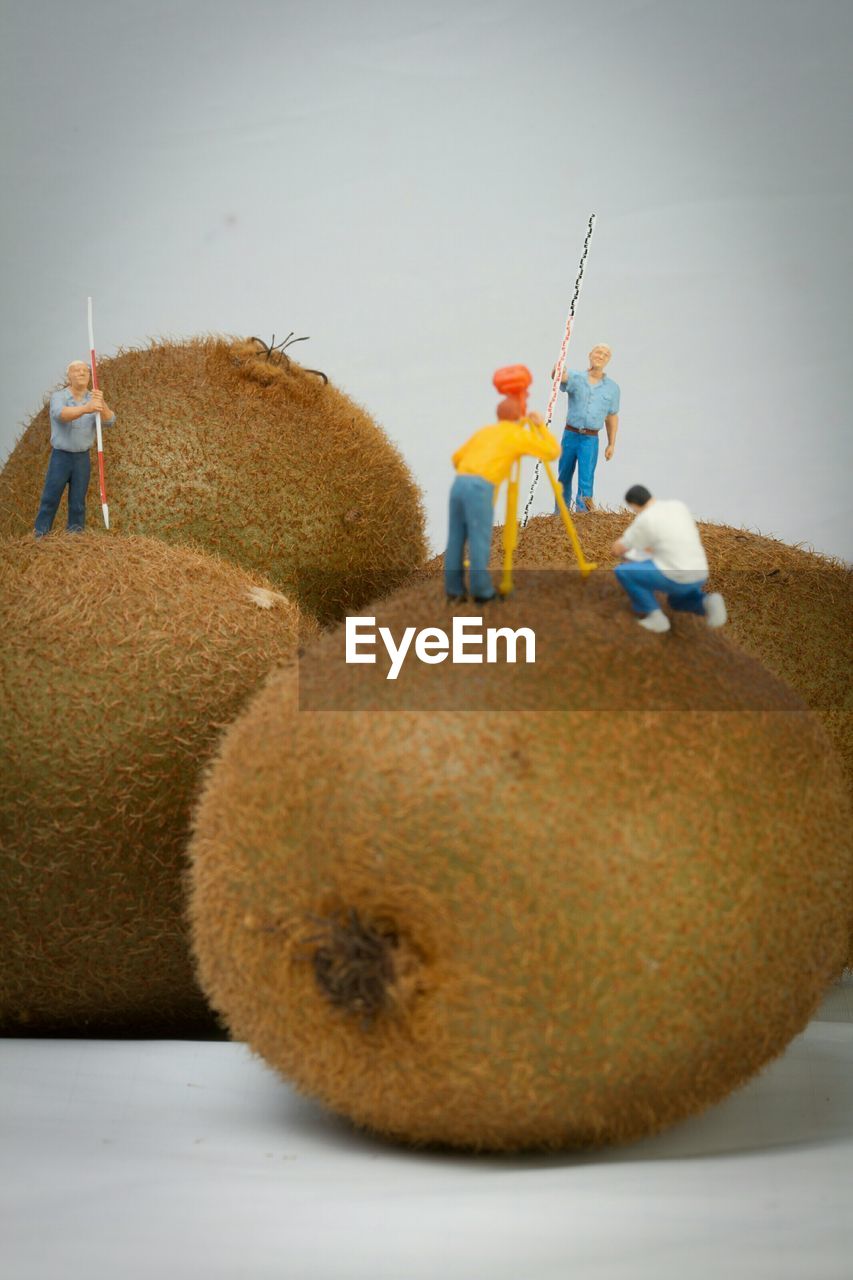 Close-up of figurines on kiwis against white background