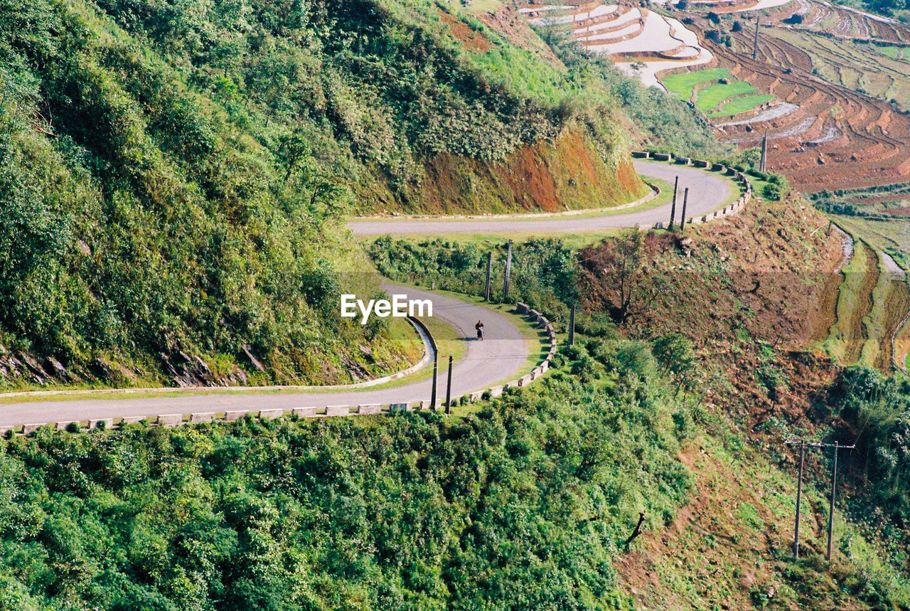 High angle view of road amidst trees