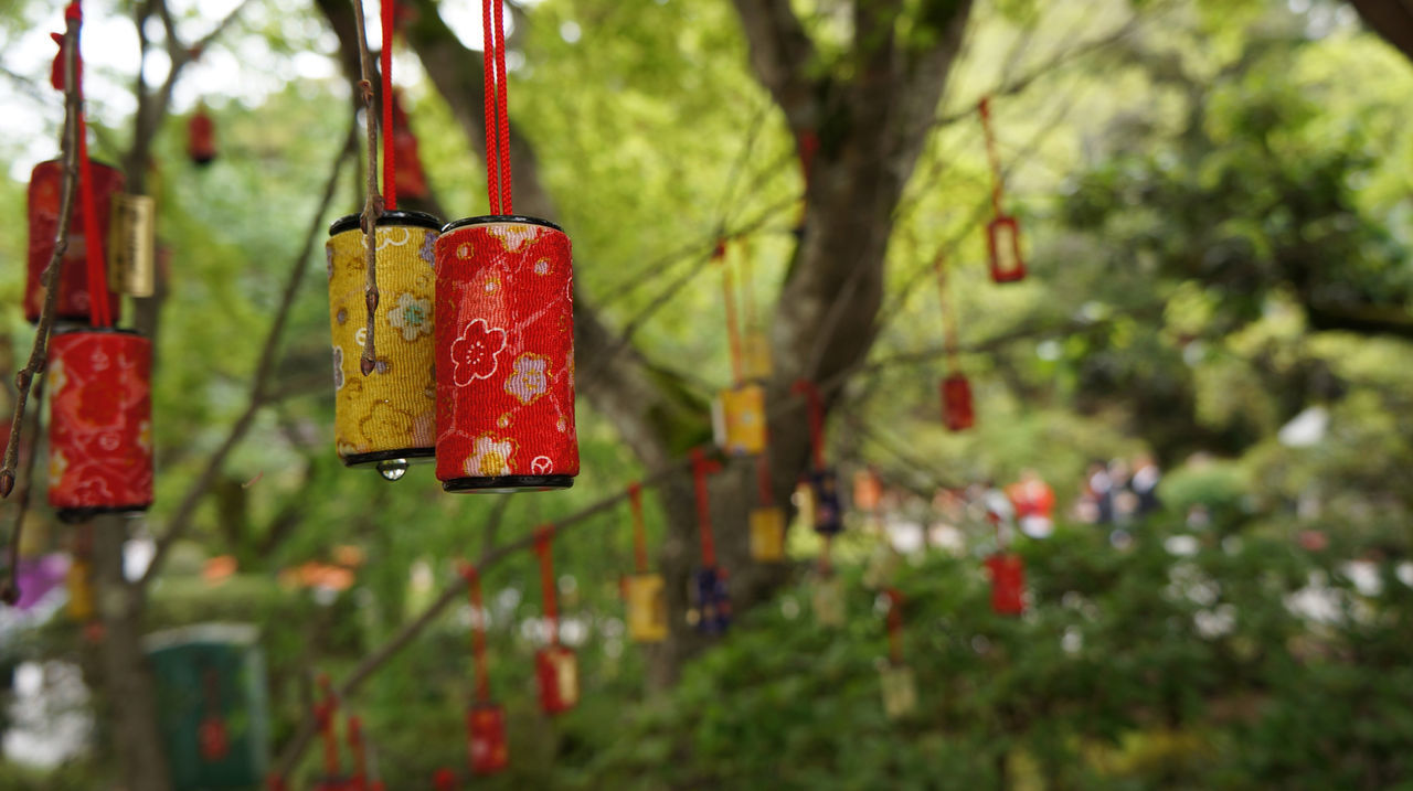 Close-up of floral pattern objects hanging by branch in trees