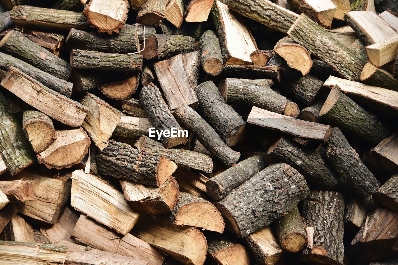 Full frame shot of logs in forest