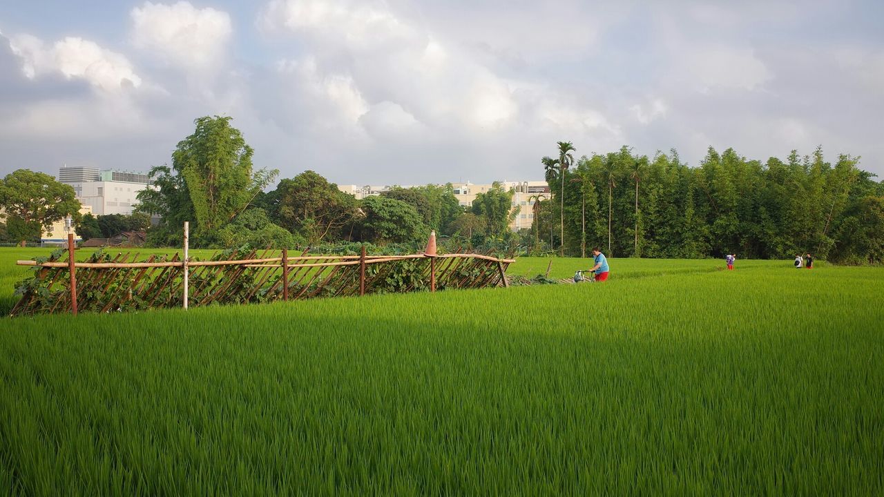 People crossing a grass field close to the city