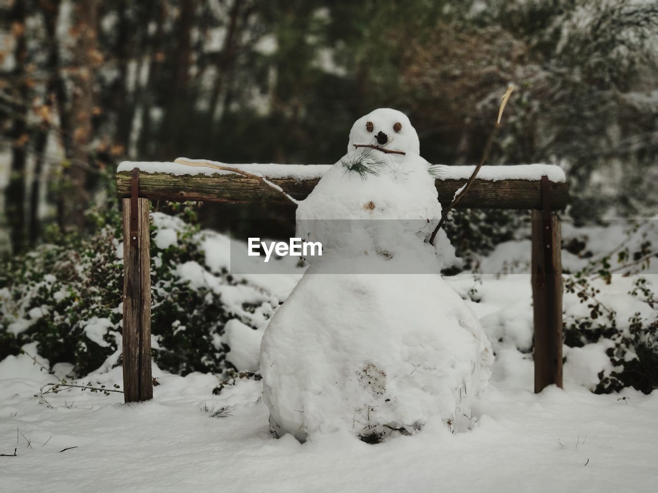 Snowman on land during winter