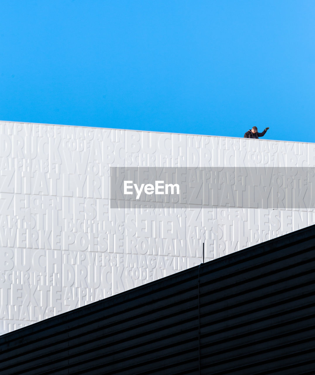 LOW ANGLE VIEW OF BIRDS AGAINST CLEAR BLUE SKY