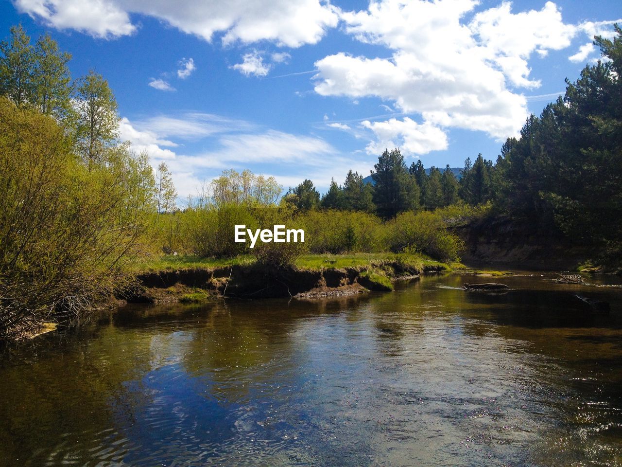 View of river and trees against cloudy sky