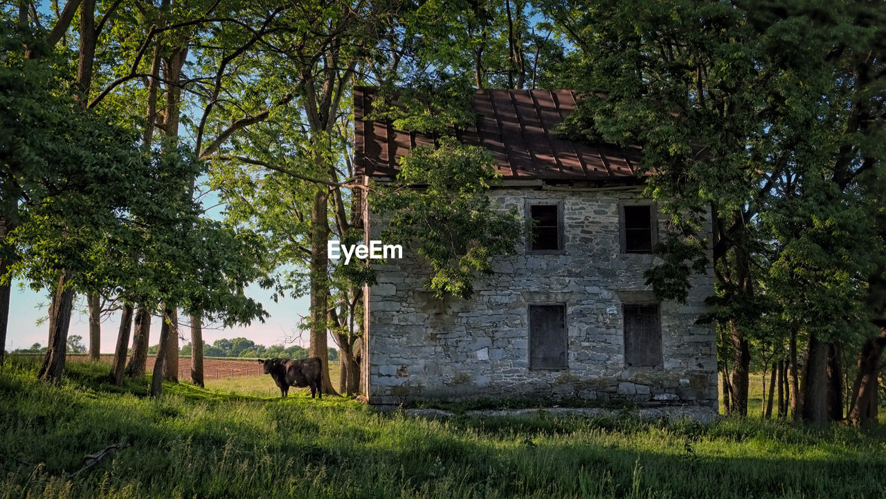 VIEW OF OLD BUILDING