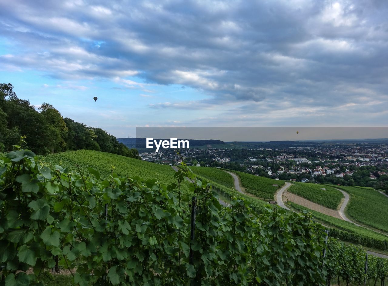 SCENIC VIEW OF FARM AGAINST SKY