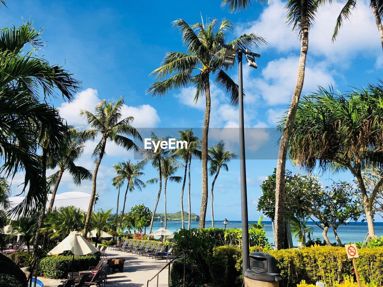 The hot sun, palm trees, the scenery of guam, and the beach of guam.