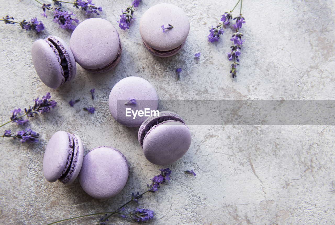 French macarons with lavender flavor and fresh lavender flowers