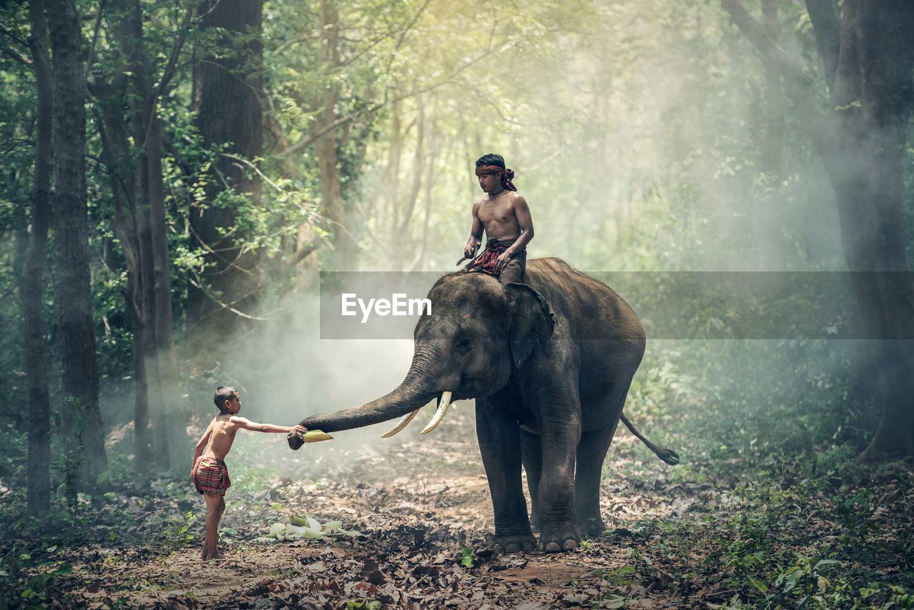 FULL LENGTH OF MAN RIDING ELEPHANT ON LAND