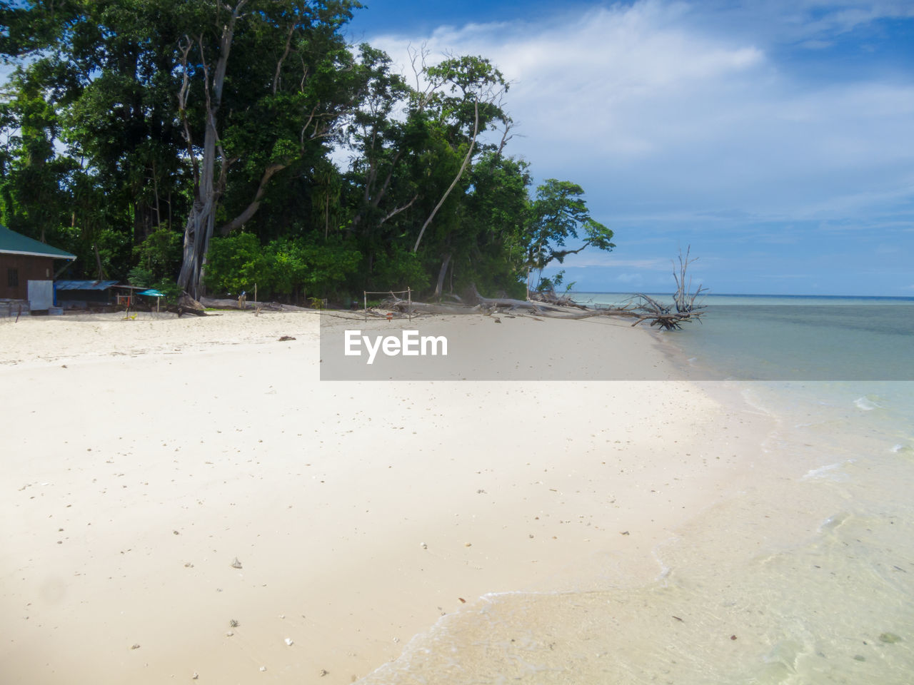 SCENIC VIEW OF BEACH