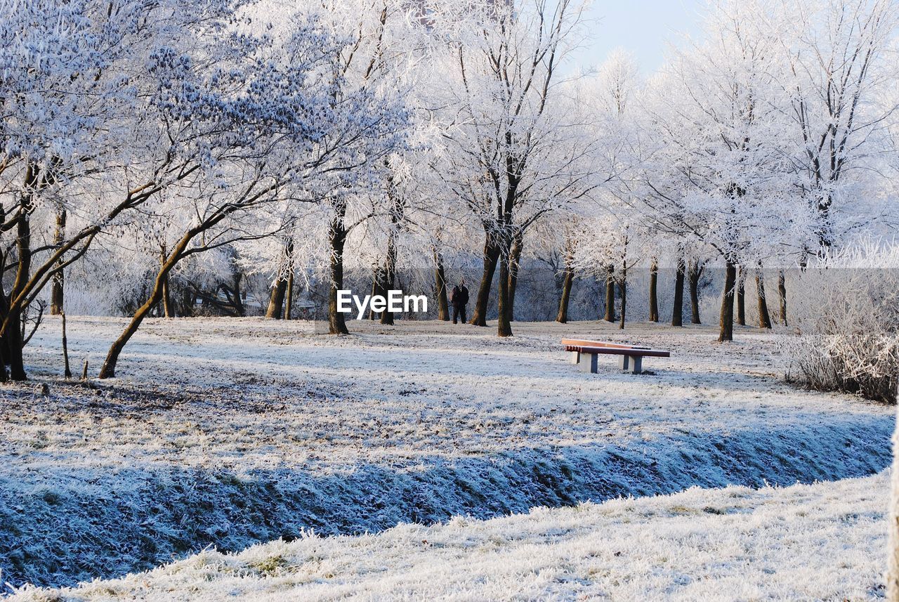 Park covered with snow