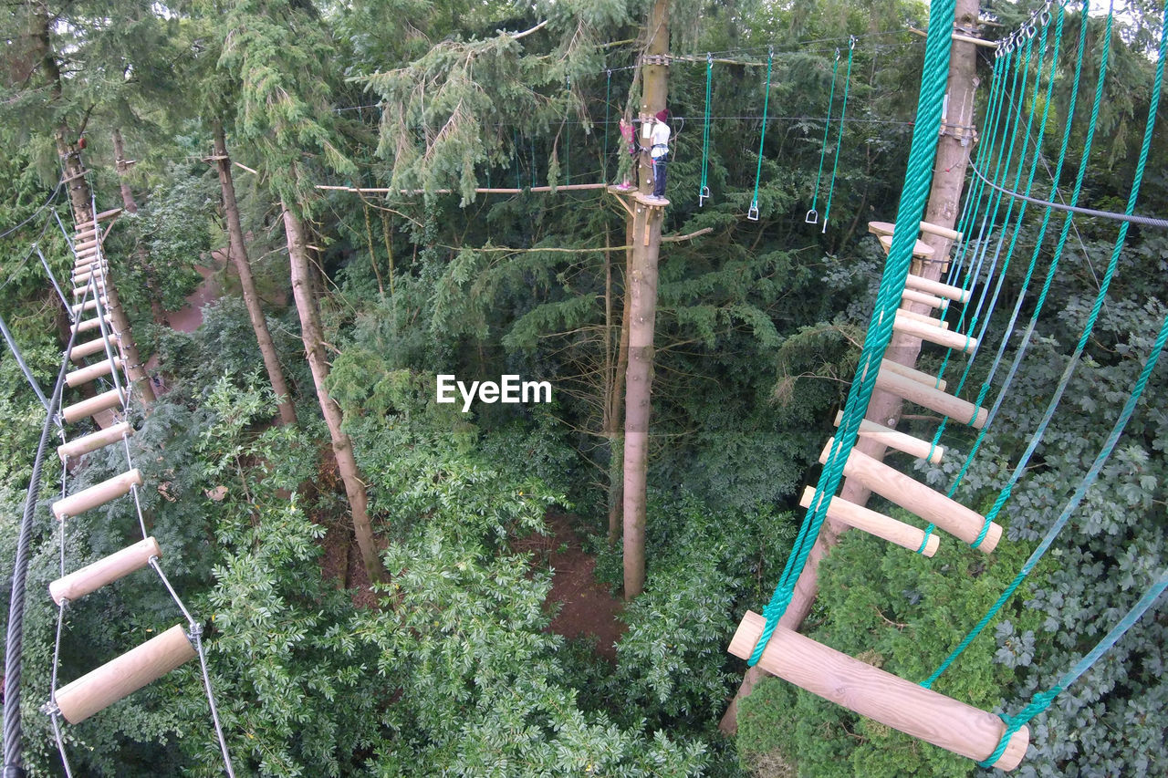 Man standing on tree trunk amidst footbridge in forest