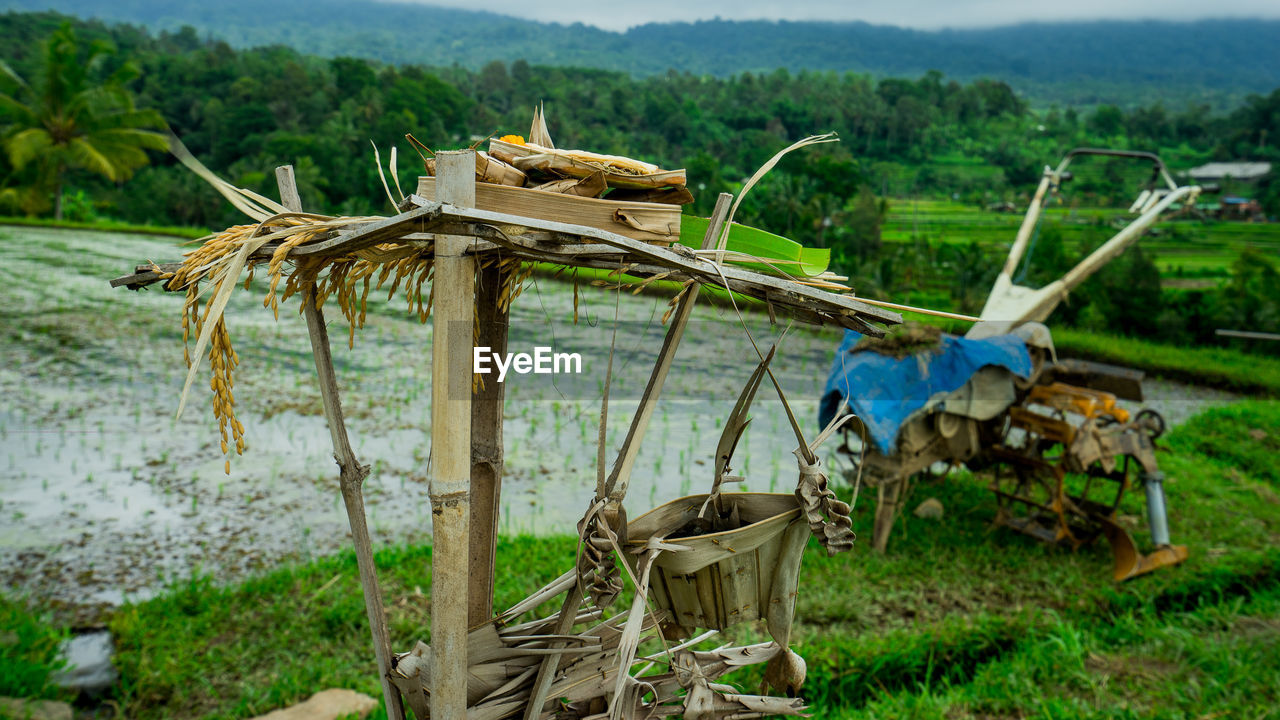 PANORAMIC VIEW OF FARM