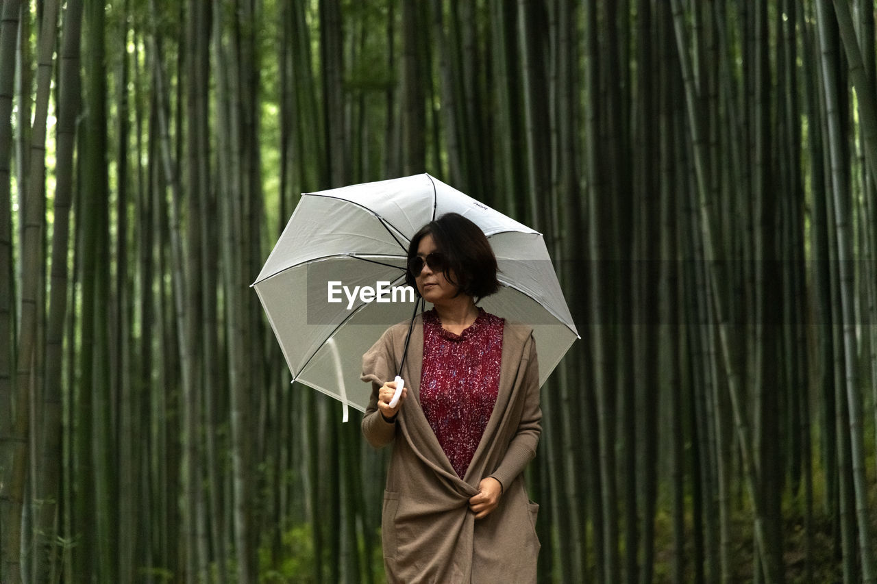 View of a woman holding a white umbrella in the bamboo forest