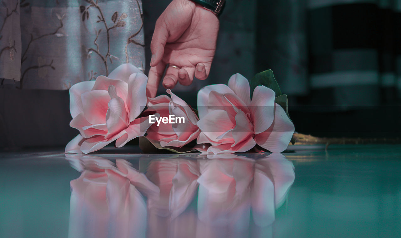 Surface level of person touching flower on floor at home