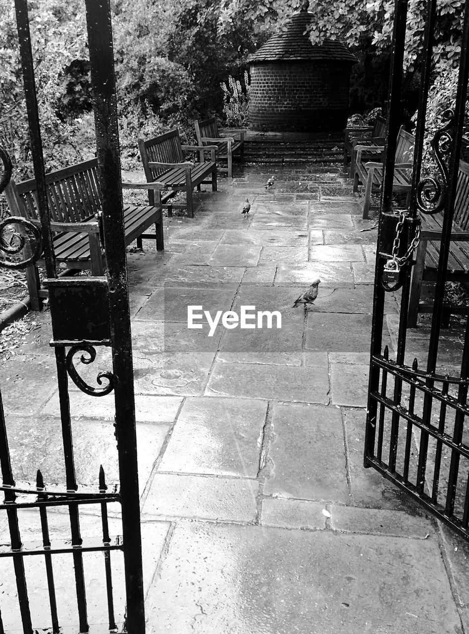 High angle view of pigeons on pathway amidst benches seen through gate