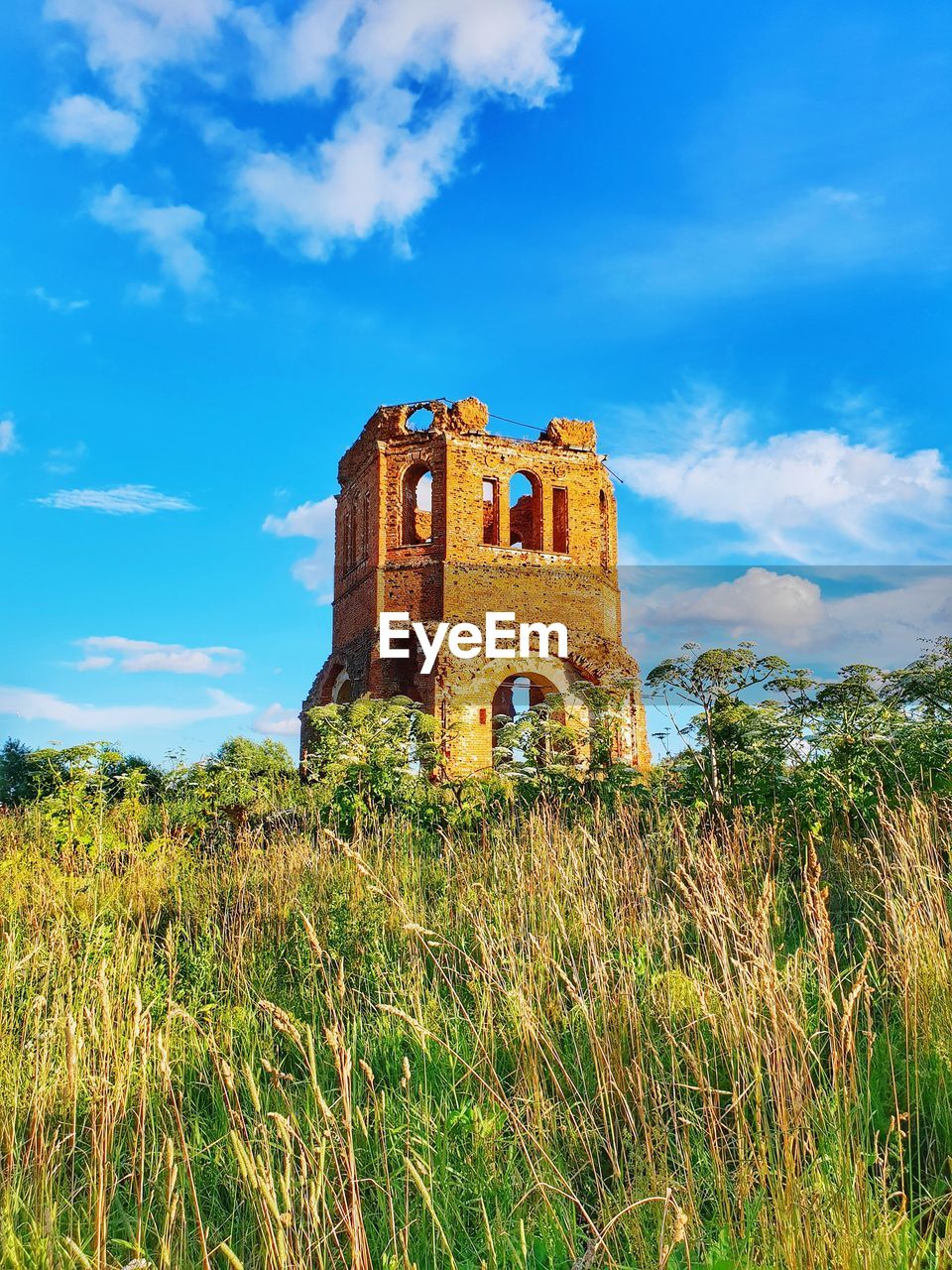 LOW ANGLE VIEW OF CASTLE ON FIELD AGAINST SKY
