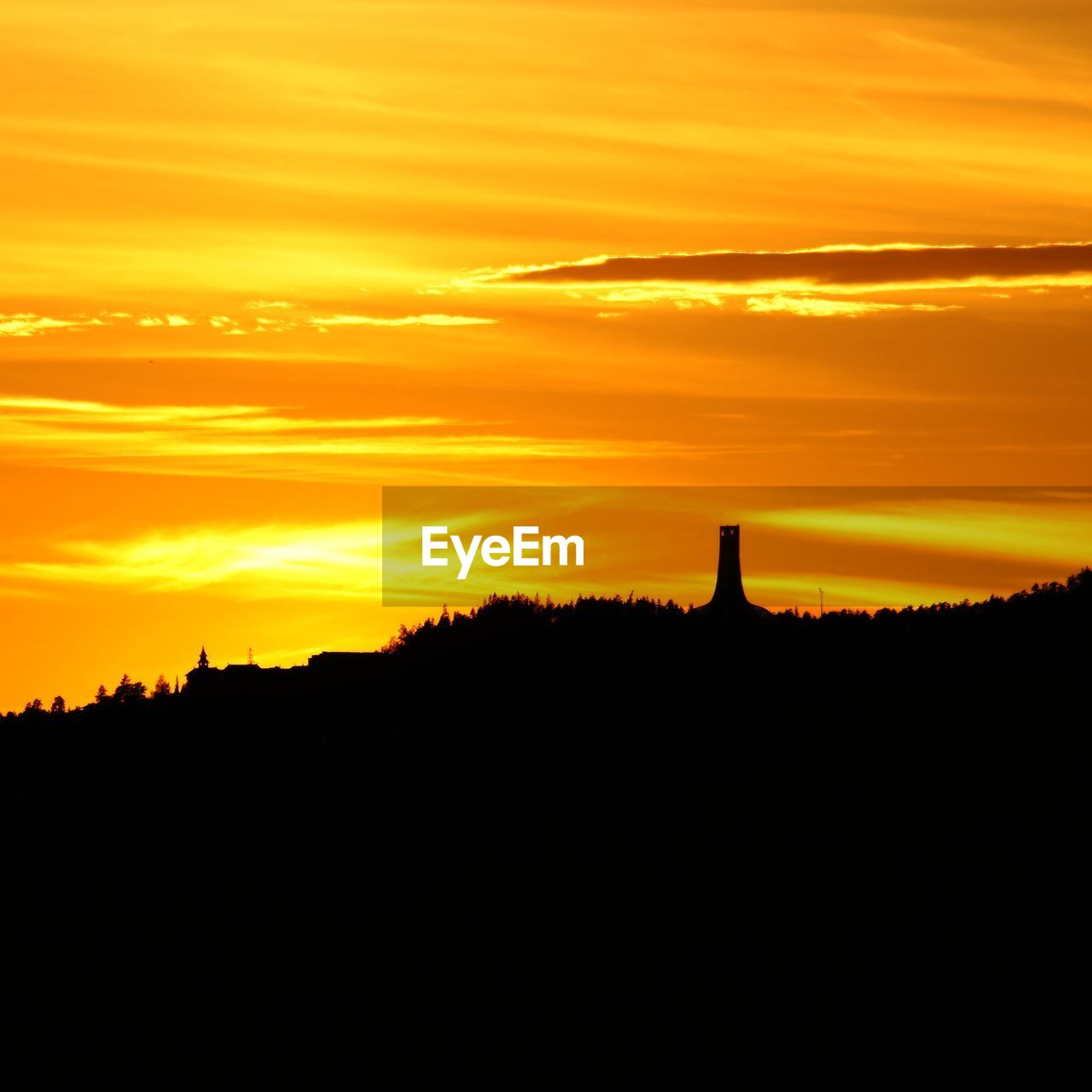 SILHOUETTE OF TREES AT SUNSET