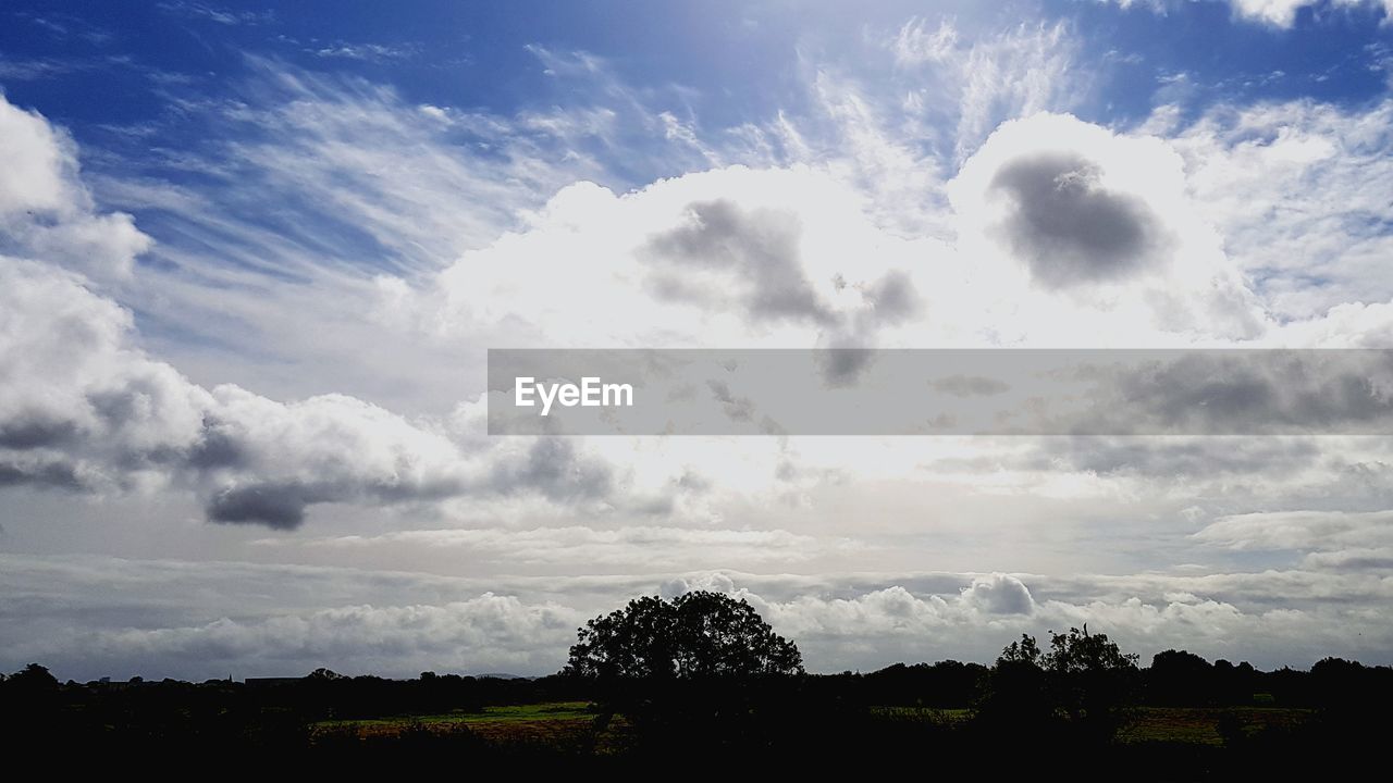 SCENIC VIEW OF SILHOUETTE TREES ON FIELD AGAINST SKY