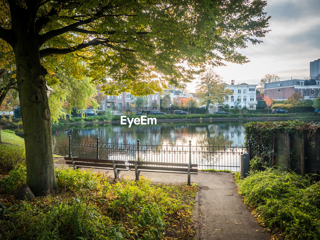 Footpath by river and trees in city