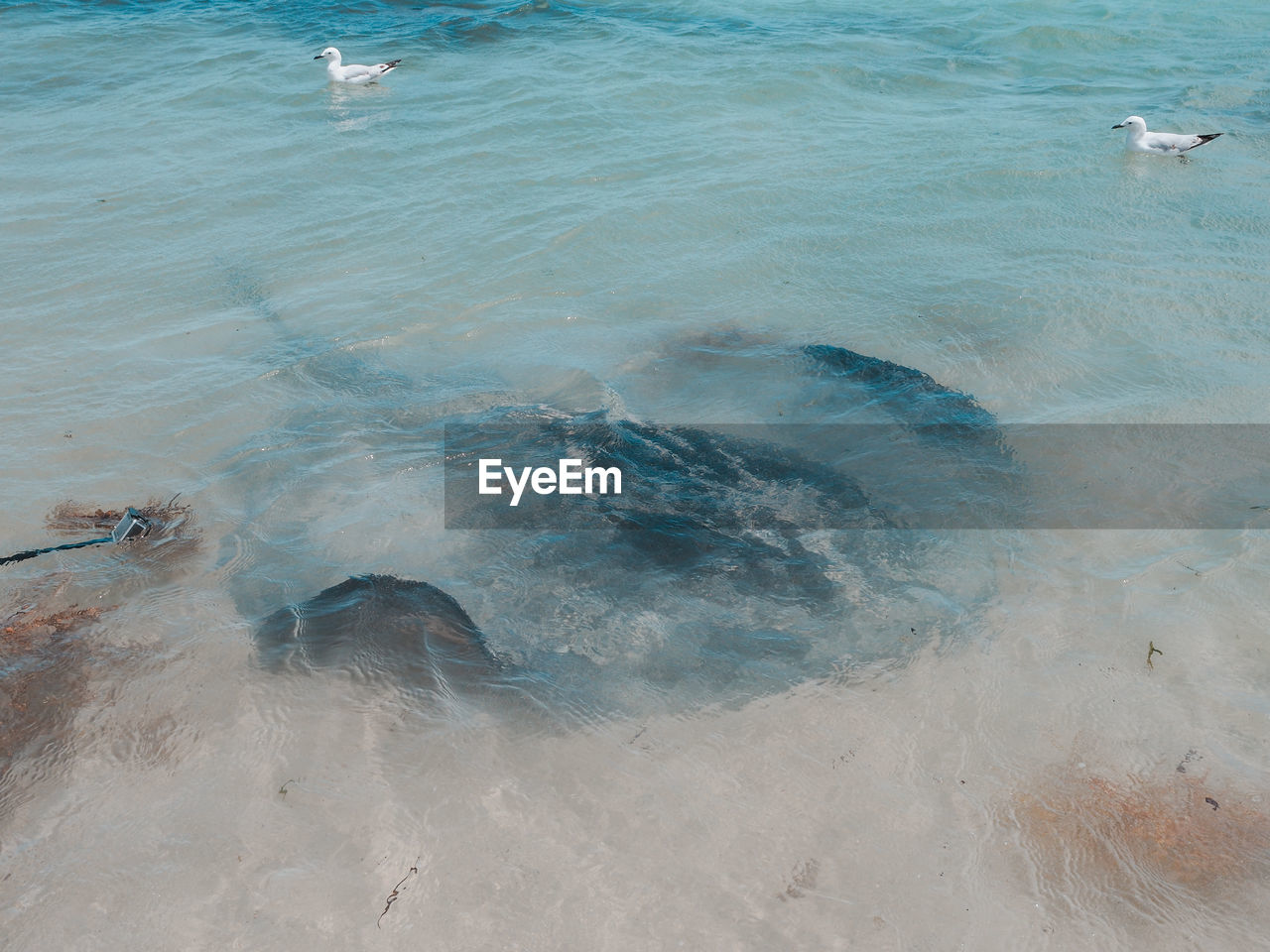 HIGH ANGLE VIEW OF SEA WAVES IN WATER