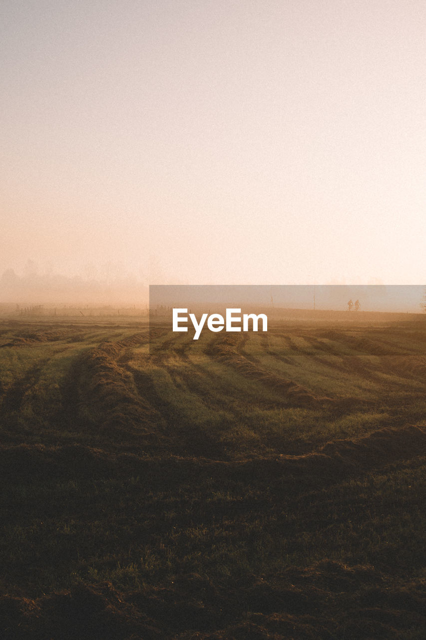 Scenic view of field against clear sky