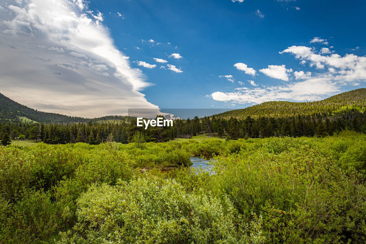 IDYLLIC SHOT OF GREEN LANDSCAPE AGAINST SKY