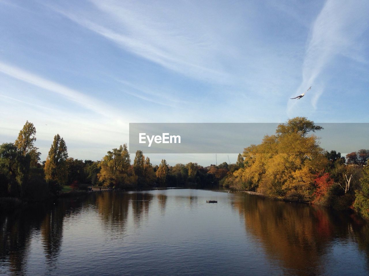 Idyllic view of calm lake amidst trees against sky