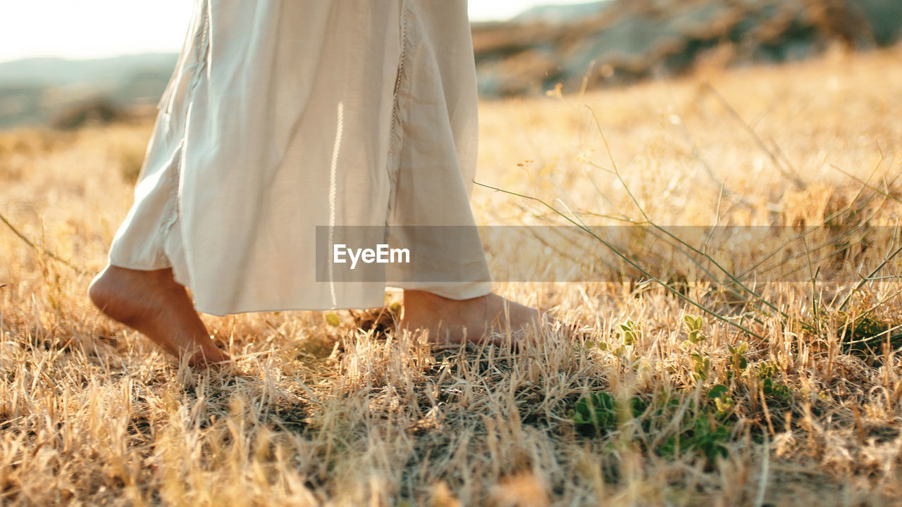 Feet of girl walks in a yellow field in the countryside