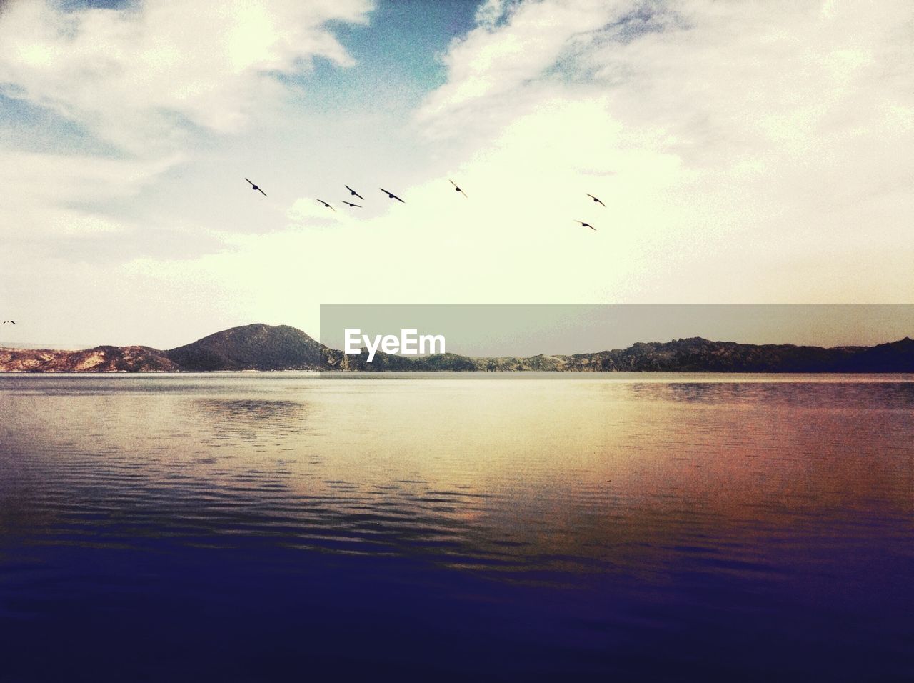 Silhouette birds flying over lake against cloudy sky