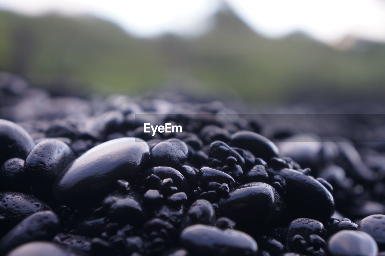 Close-up of black pebbles