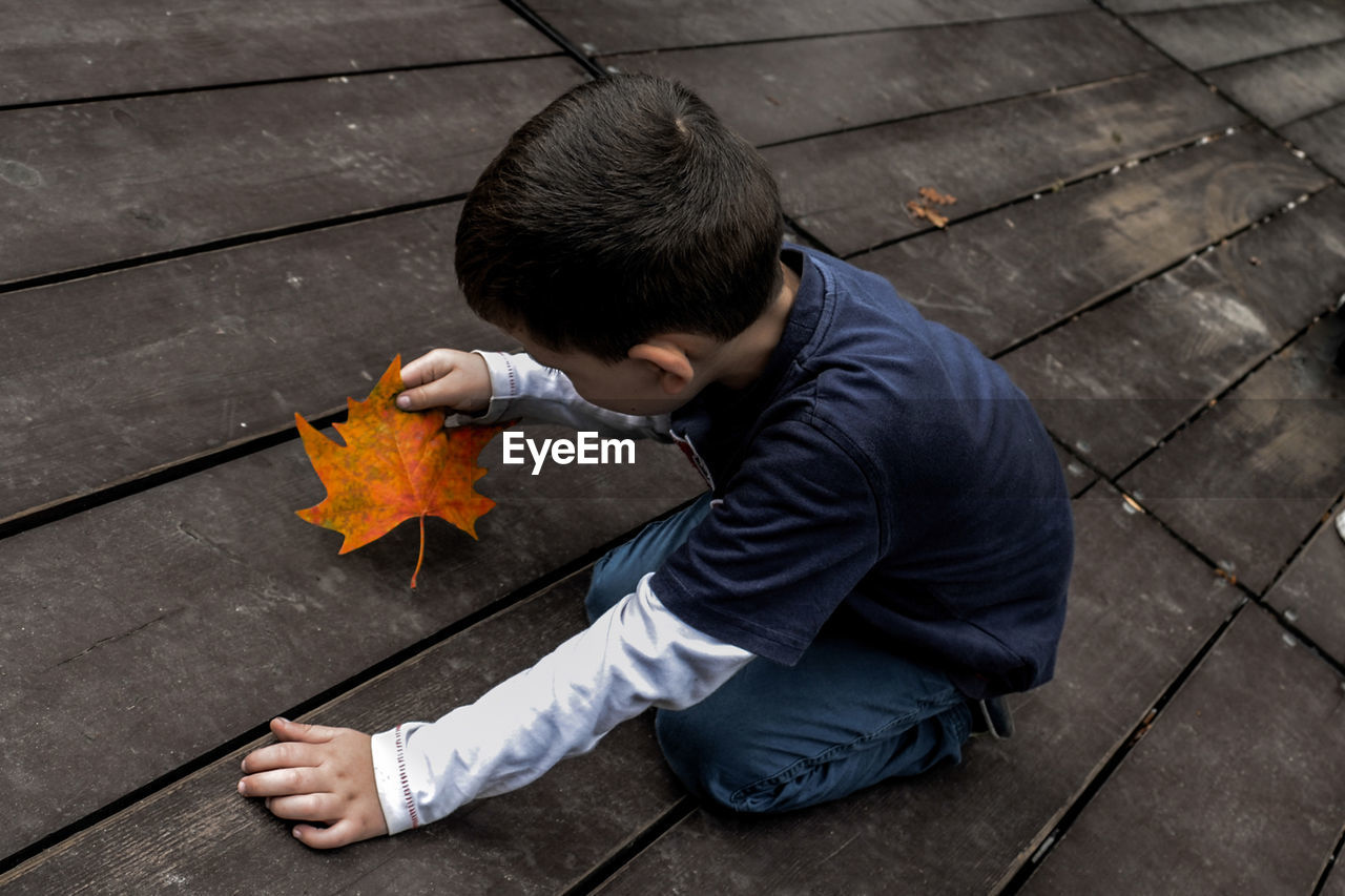 High angle view of boy holding maple leaf on hardwood floor