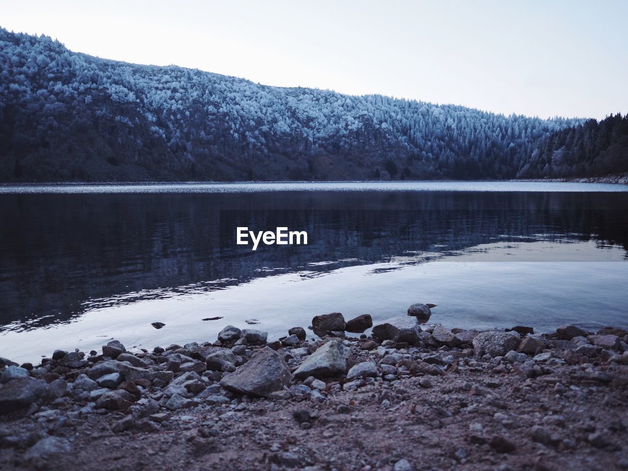 Scenic view of river in forest during winter