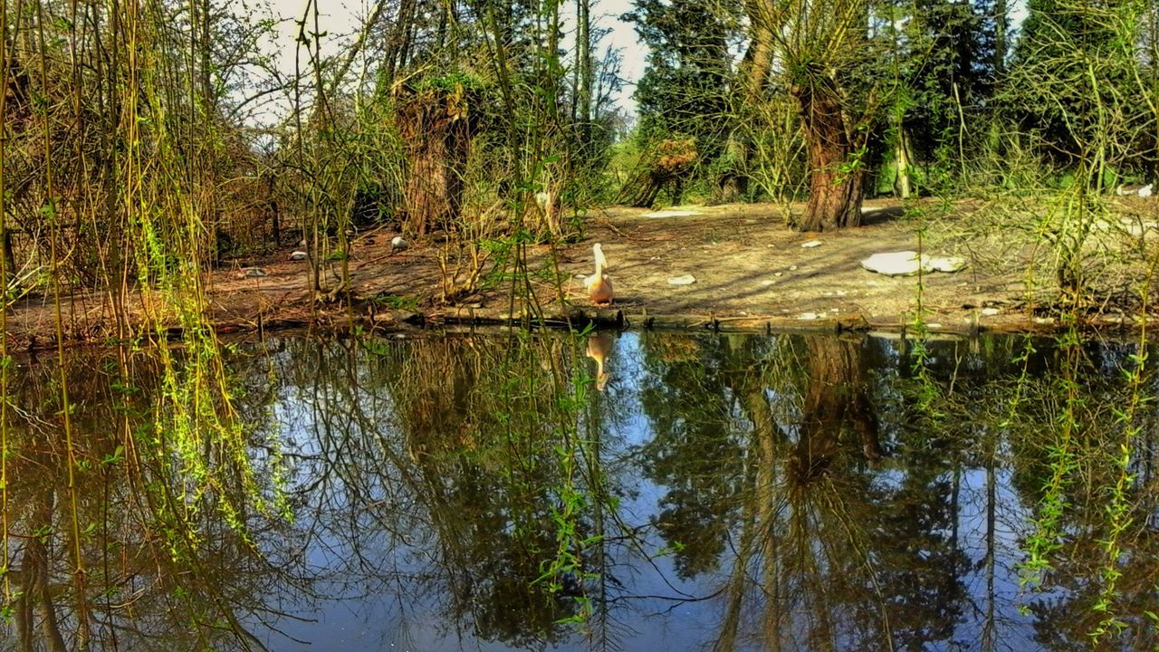 SCENIC VIEW OF LAKE