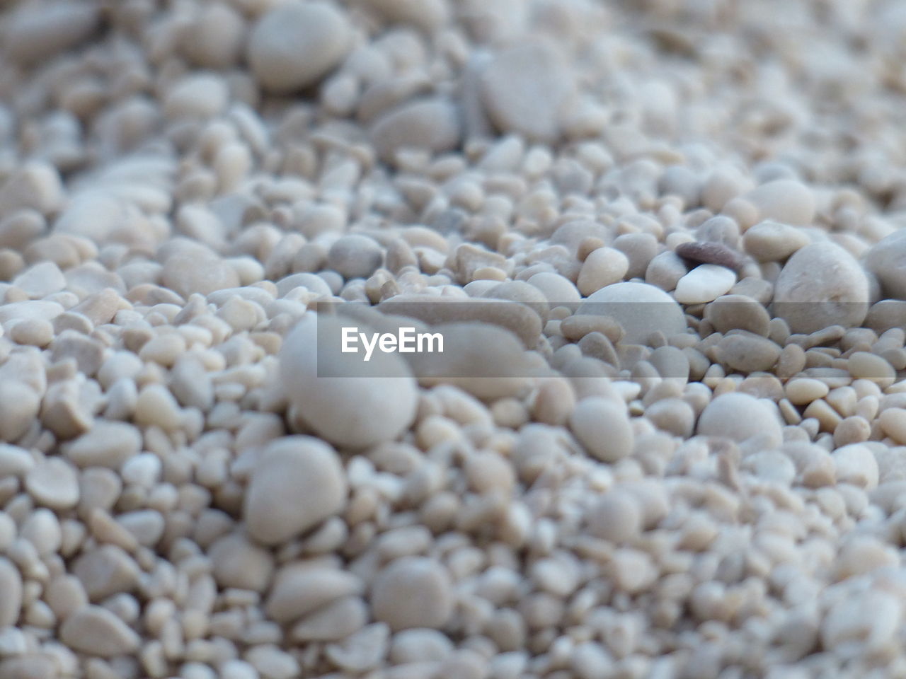 Close-up of white pebbles
