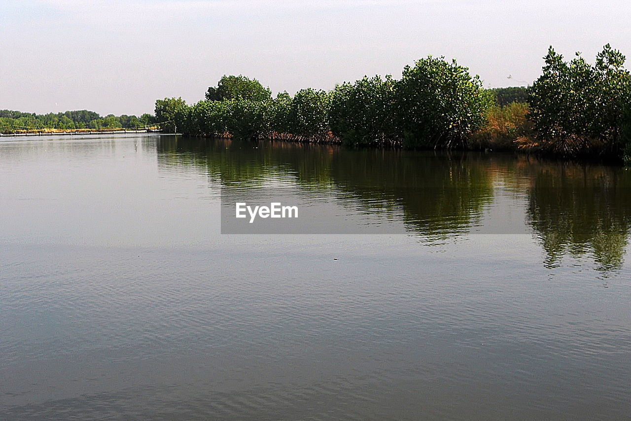 REFLECTION OF TREES IN LAKE AGAINST SKY