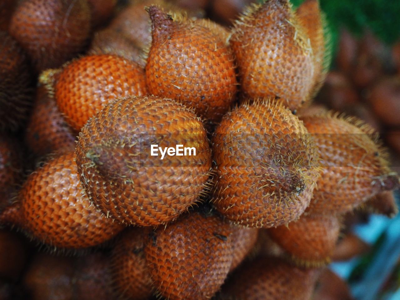 Close-up of fruits