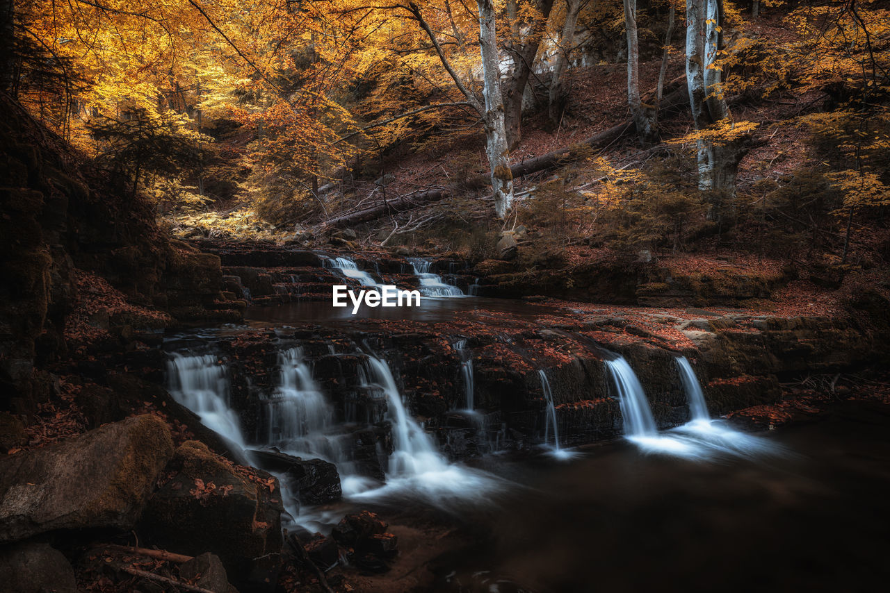 WATERFALL IN FOREST