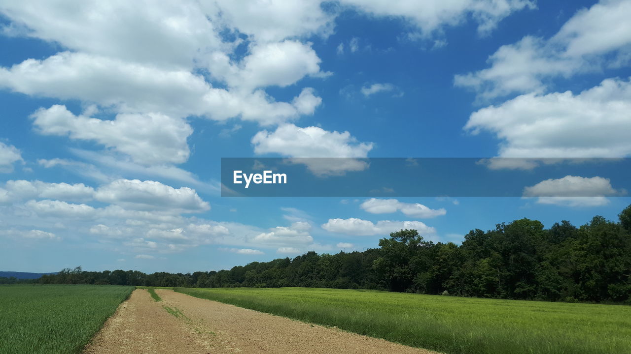 SCENIC VIEW OF AGRICULTURAL LANDSCAPE AGAINST SKY