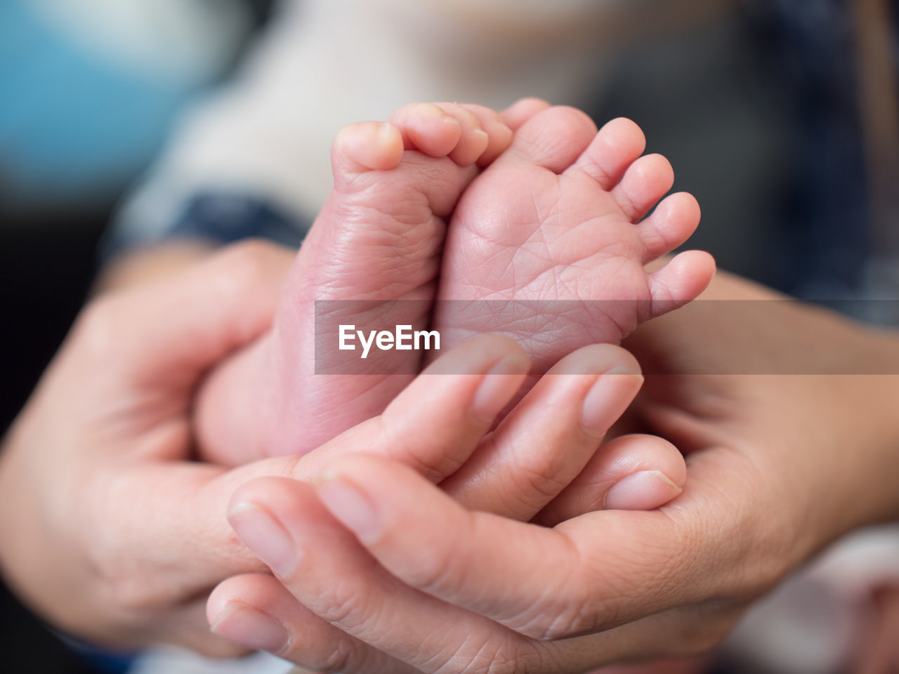 Close-up of woman holding baby feet