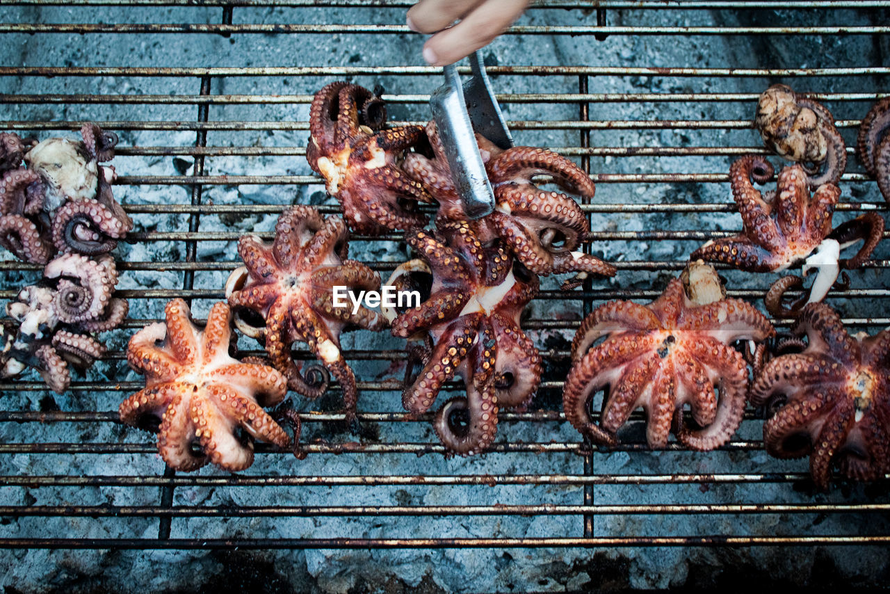 Cropped image of hand cooking octopus on barbecue