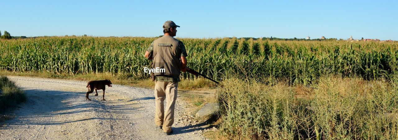 Rear view of man with dog holding rifle while walking on land