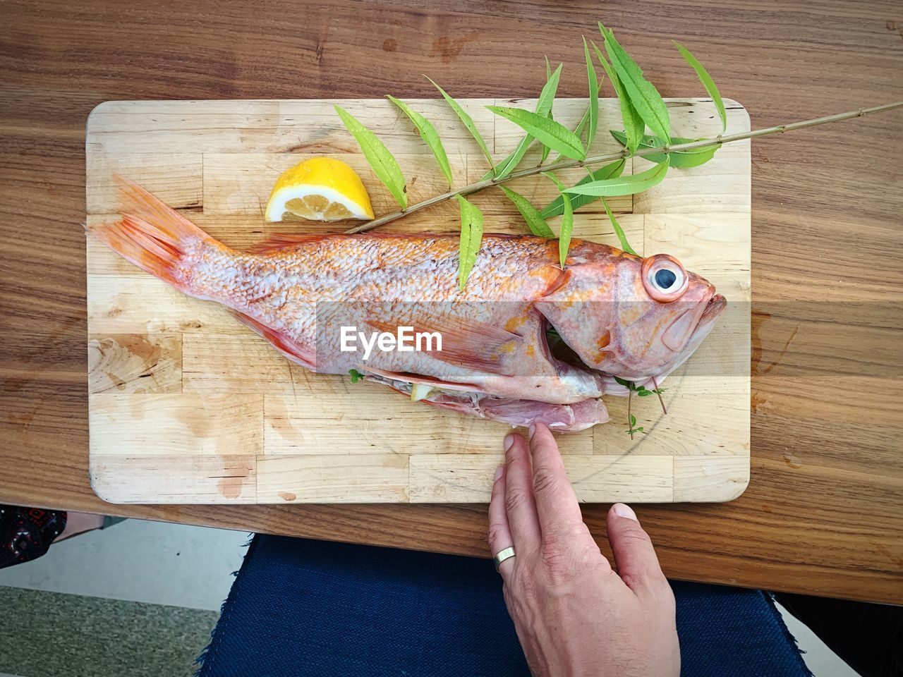 High angle view of fish on cutting board