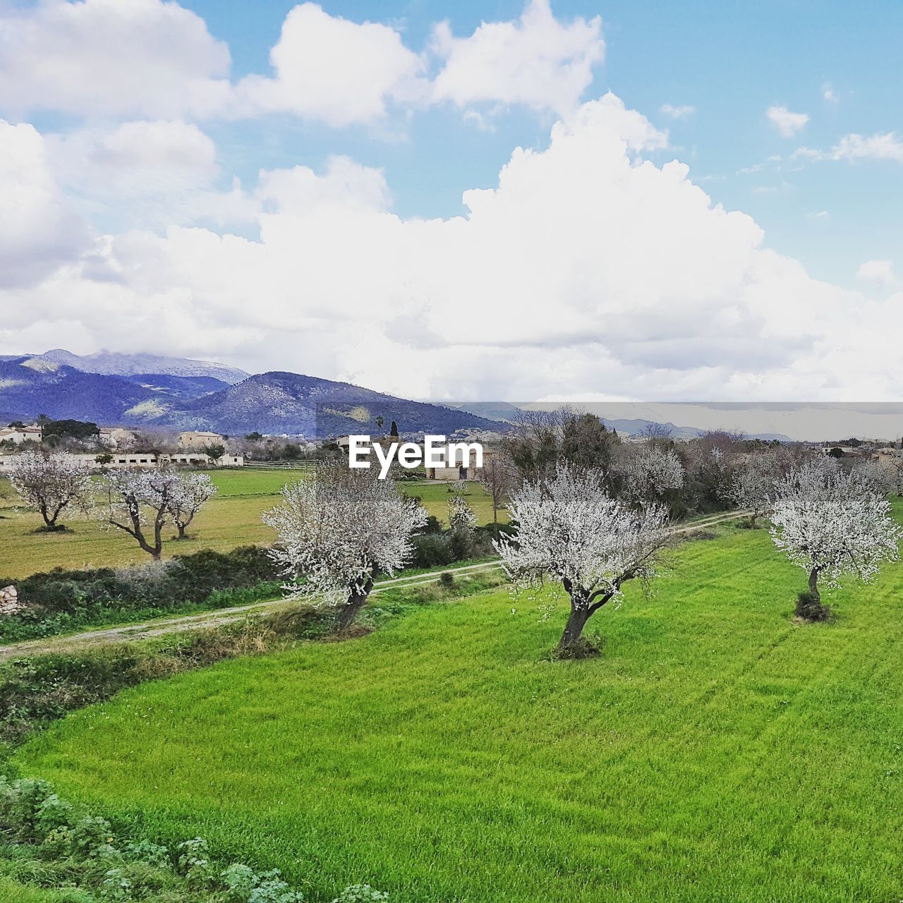 PANORAMIC VIEW OF LANDSCAPE AGAINST SKY