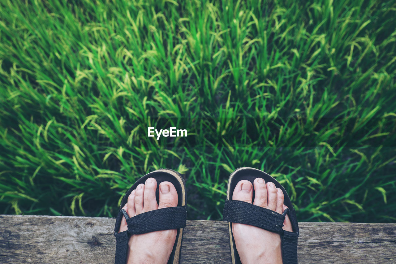 Low section of person standing on boardwalk by grass