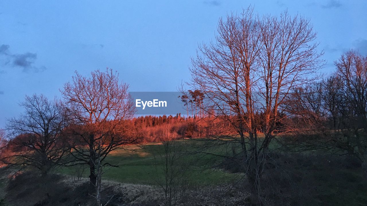 BARE TREES ON LANDSCAPE AGAINST SKY