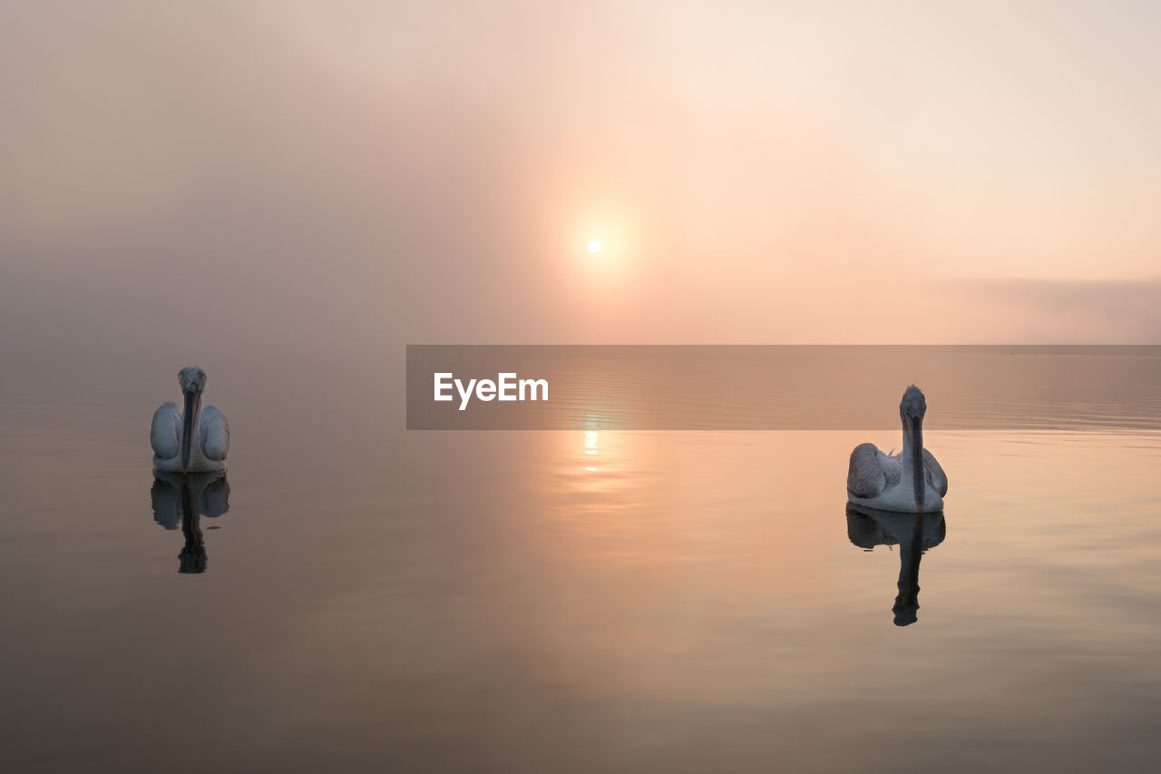 REAR VIEW OF MEN STANDING IN LAKE AGAINST SKY DURING SUNSET