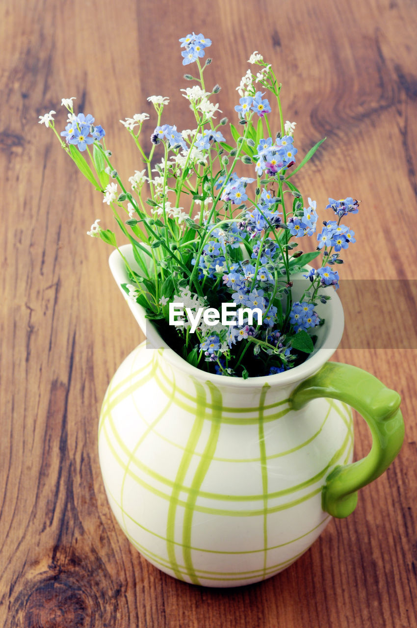 CLOSE-UP HIGH ANGLE VIEW OF PLANT ON TABLE