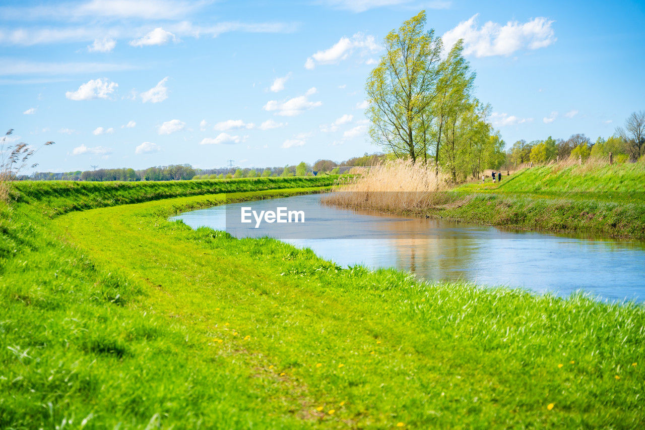 plant, grass, sky, water, landscape, natural environment, green, environment, nature, meadow, grassland, scenics - nature, beauty in nature, cloud, land, wetland, marsh, tranquility, rural area, tree, tranquil scene, rural scene, field, no people, river, non-urban scene, paddy field, reflection, day, pasture, blue, plain, outdoors, travel destinations, flower, floodplain, prairie, summer, growth, travel, waterway, agriculture, environmental conservation, idyllic, pond, sunlight, springtime, reservoir, tourism, polder, shore